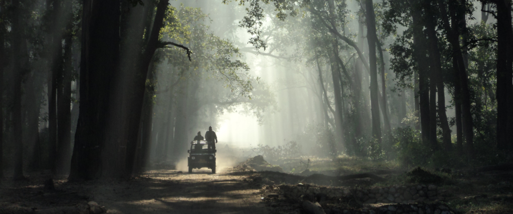 Jim Corbett National Park India